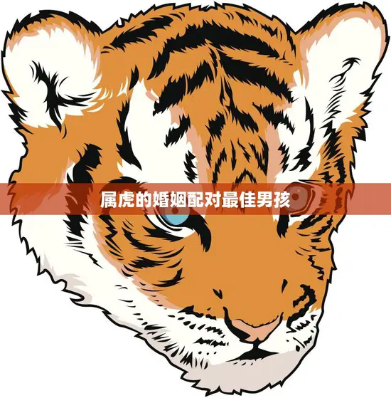 属虎的婚姻配对最佳男孩(如何选择最适合你的伴侣)