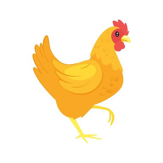 属鸡2023佩戴什么好(如何选择适合自己的幸运饰品)