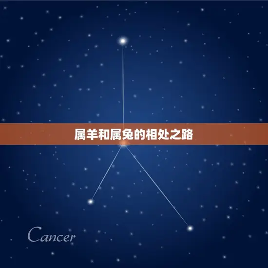 属羊和兔的属相合不合(你知道吗)