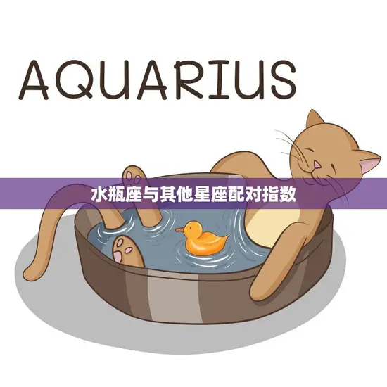 水瓶座与其他星座配对指数(星座配对大揭秘)