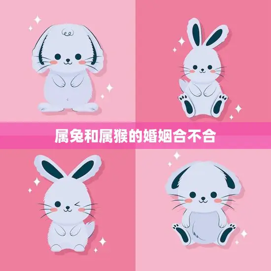 属兔和属猴的婚姻合不合(星座配对分析)