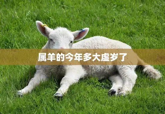 属羊的今年多大虚岁了(如何计算属羊人的虚岁)