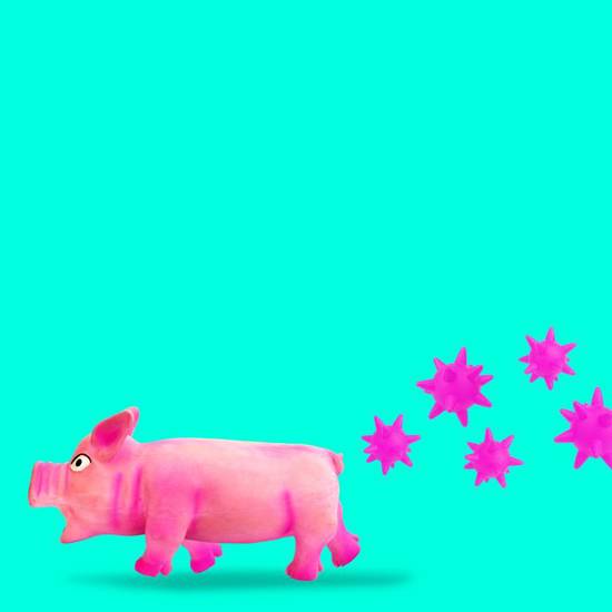 1983年的猪财运怎么样(回顾过去展望未来)