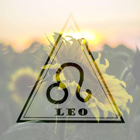 狮子座2023运势女生(大展宏图事业爱情双丰收)