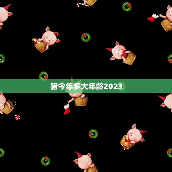 猪今年多大年龄2023(猪年龄计算方法解析)