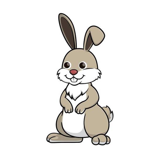 属兔草字头的名字有哪些(探寻兔年宝宝的好名字)