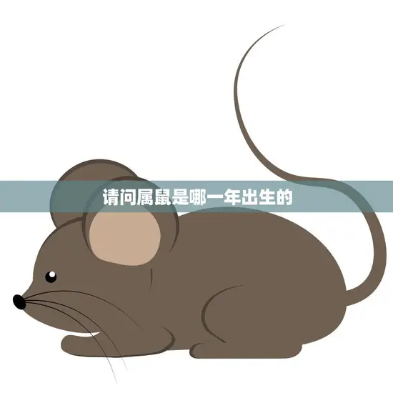 请问属鼠是哪一年出生的(属鼠人的命运与性格特点)