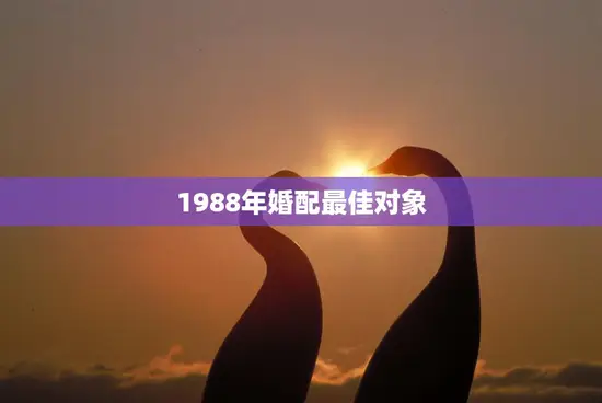 1988年婚配最佳对象(如何选择)