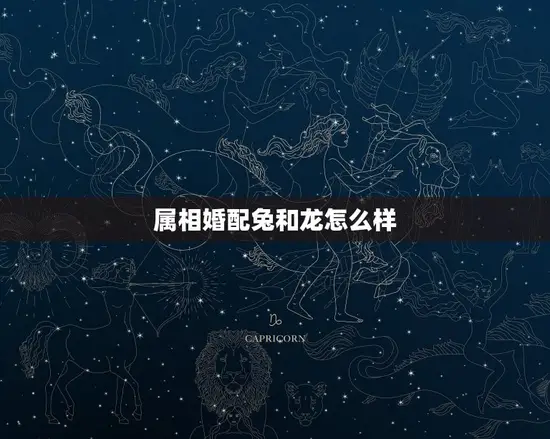 属相婚配兔和龙怎么样(兔龙配对介绍)