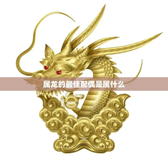 属龙的最佳配偶是属什么(如何选择最适合的伴侣)