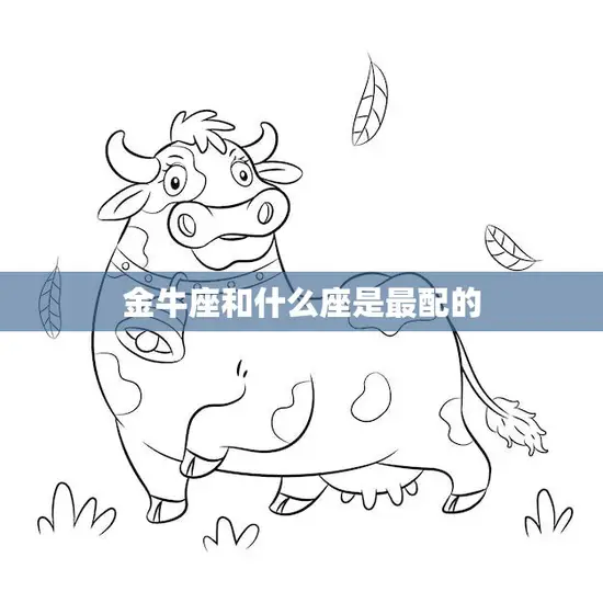 金牛座和什么座是最配的(揭秘最佳星座组合)