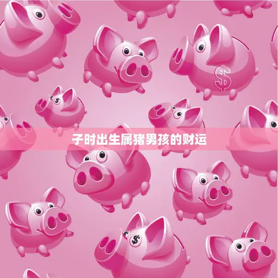 子时出生属猪男孩的财运(如何财富)