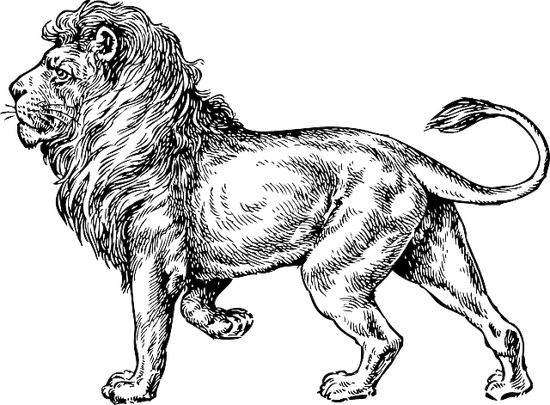 狮子座2023年运势最新(财运亨通事业顺利)