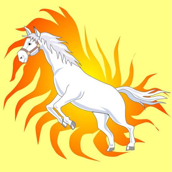 属马今日财运解析