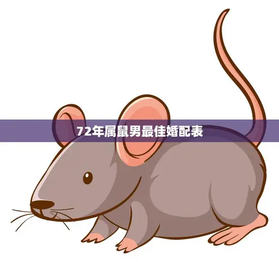 72年属鼠男最佳婚配表(找到最适合你的伴侣)