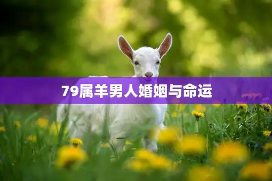 79属羊男人婚姻与命运(如何避免婚姻危机)