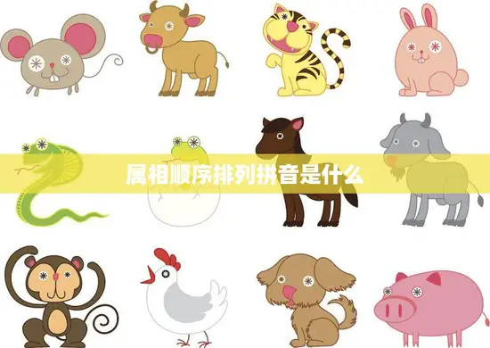 属相顺序排列拼音是什么(十二生肖拼音顺序大揭秘)