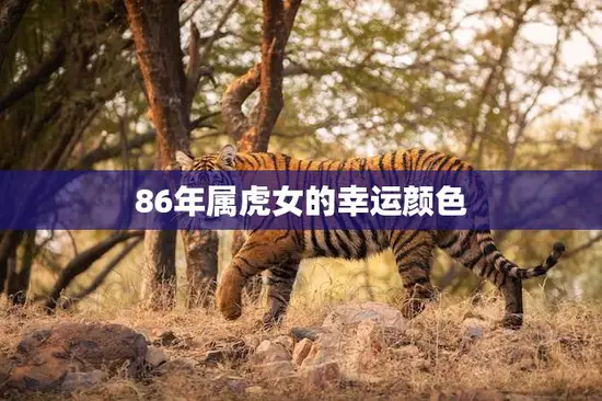 86年属虎女的幸运颜色(解密如何选择适合自己的幸运色)