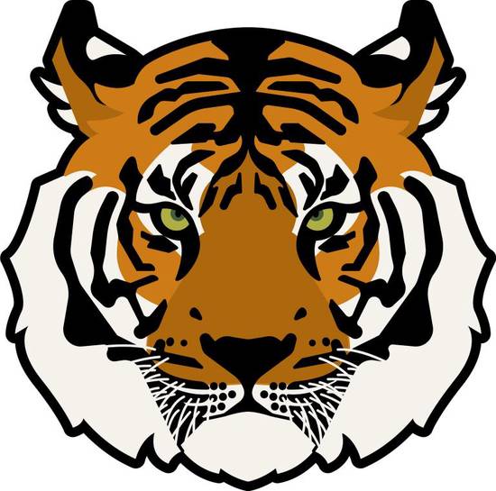 属虎的哪个月出生最好命(揭秘命运最佳月份)