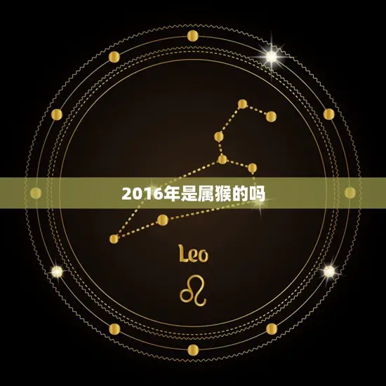 2016年是属猴的吗(介绍2016年生肖属相你知道吗)