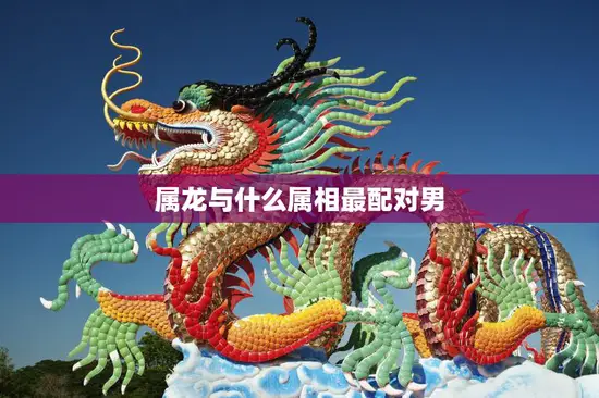 属龙与什么属相最配对男(揭秘属龙男最佳配偶选择)