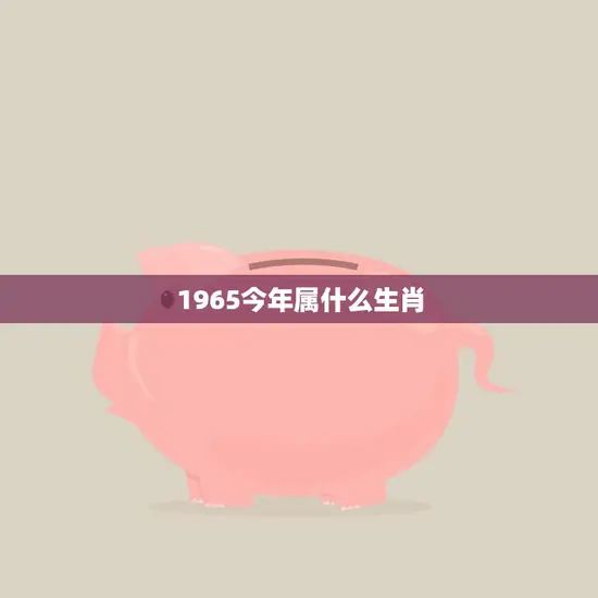 1965今年属什么生肖(猪年人的幸运之路)