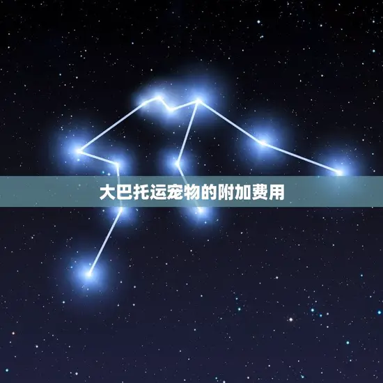 大巴托运宠物怎样收费(费用详解让您安心出行)