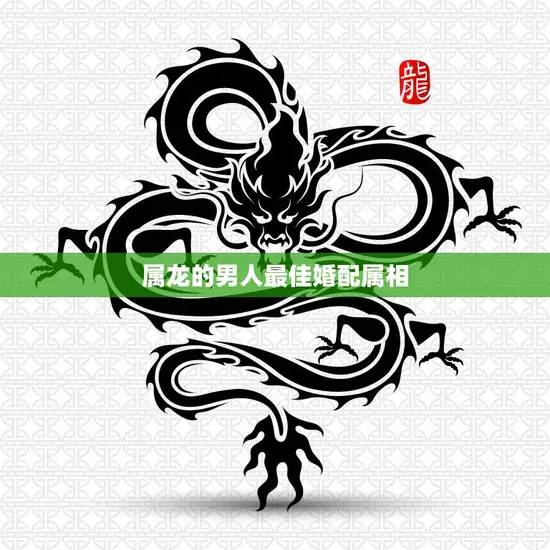 属龙的男人最佳婚配属相(揭秘谁最能与龙共舞)