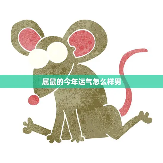 属鼠的今年运气怎么样男(2023年运势大揭秘)