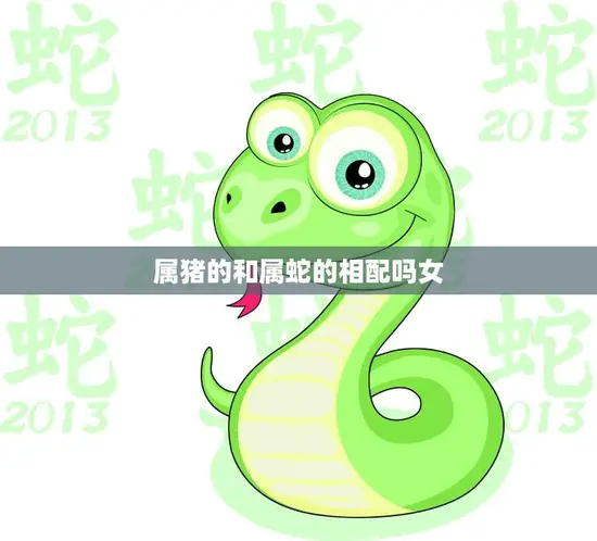 属猪的和属蛇的相配吗女(如何选择恋爱对象)