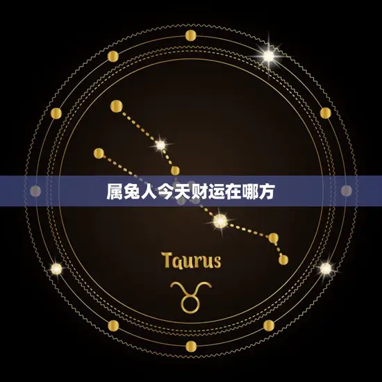 属兔人今日财运在哪方(探寻今日财富方向)