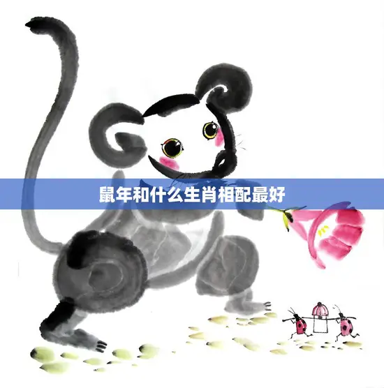 鼠年和什么生肖相配最好(解析十二生肖配对指南)