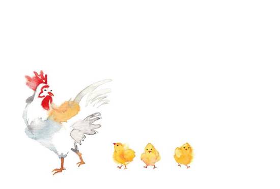 69属鸡人十二个月运程(2023年运势大揭秘)