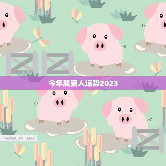 今年属猪人运势2023(猪年大吉财运亨通)