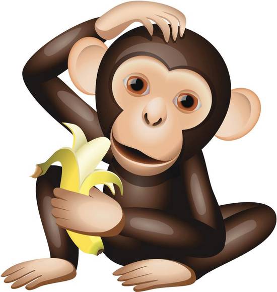 80年属猴之人有难之年(如何化解)