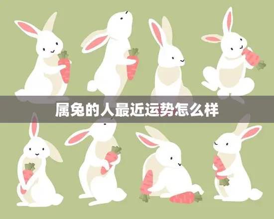 属兔的人最近运势怎么样(2023年运势大揭秘)