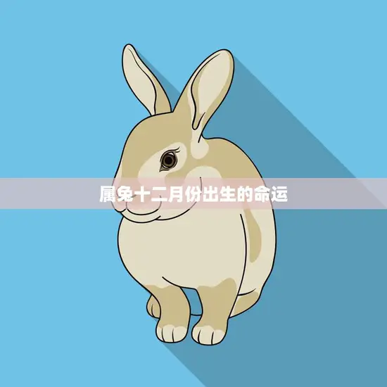 属兔十二月份出生的命运(如何影响你的人生)