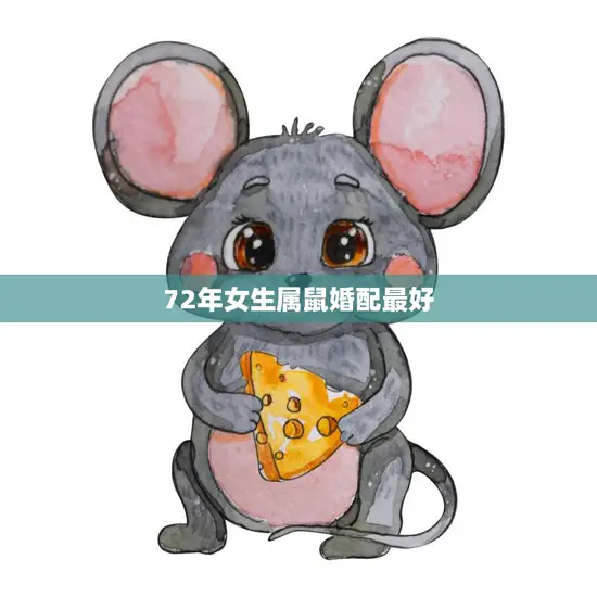 72年女生属鼠婚配最好(如何选择最佳配偶)