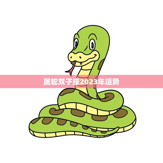 属蛇双子座2023年运势(双重性格带来双重收获)