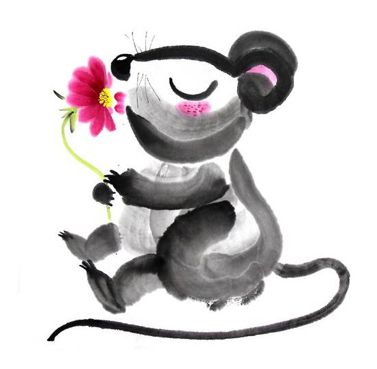 84年鼠和84年鼠婚配(双鼠成双宝缘定一生幸福长)