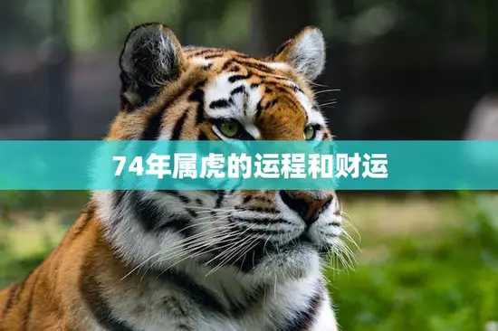 74年属虎的运程和财运(2023年运势大揭秘)