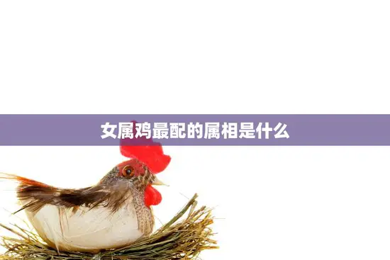 女属鸡最配的属相是什么(揭秘完美匹配的星座是TA)