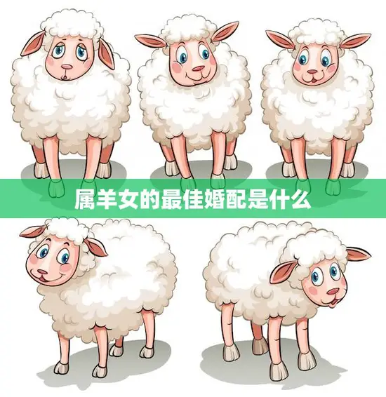 属羊女的最佳婚配是什么(如何选择最适合的伴侣)