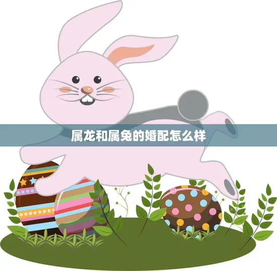 属龙和属兔的婚配怎么样(如何避免婚姻危机)