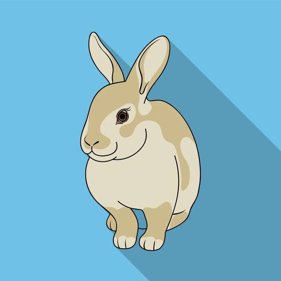 91年属羊的女婚姻配对(如何选择最佳伴侣)