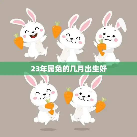 23年属兔的几月出生好(最佳出生月份大揭秘)