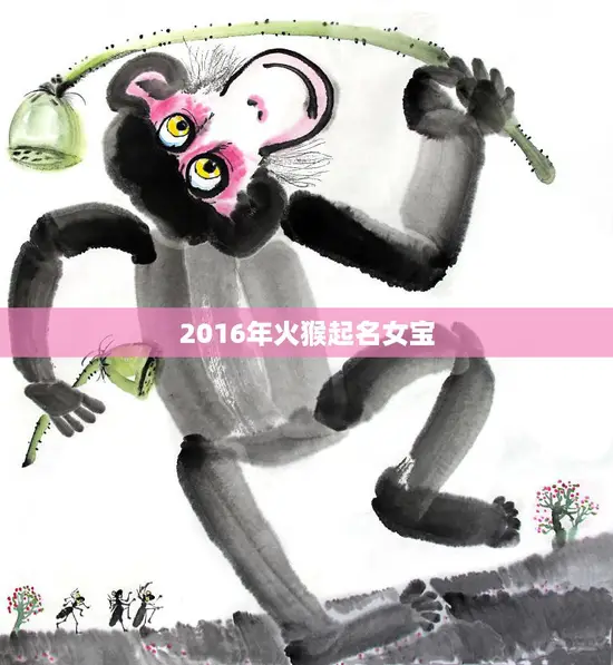 2016年火猴起名女宝(猴年宝宝女孩名字大全)