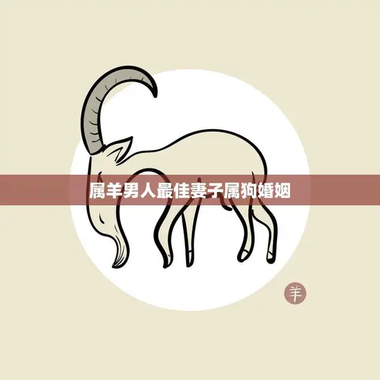 属羊男人最佳妻子属狗婚姻(幸福长久相伴一生)