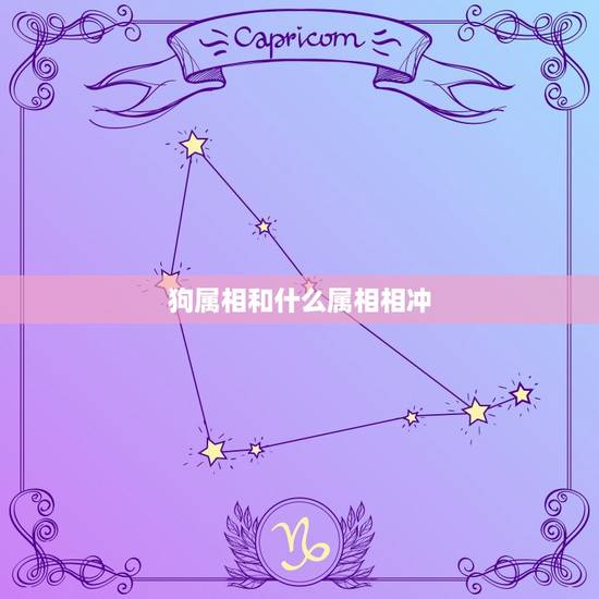 狗属相和什么相冲相克(如何化解)