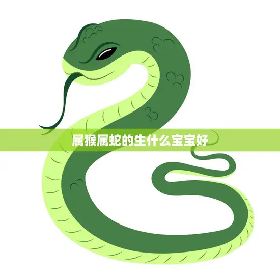 属猴属蛇的生什么宝宝好(如何选择最佳组合)